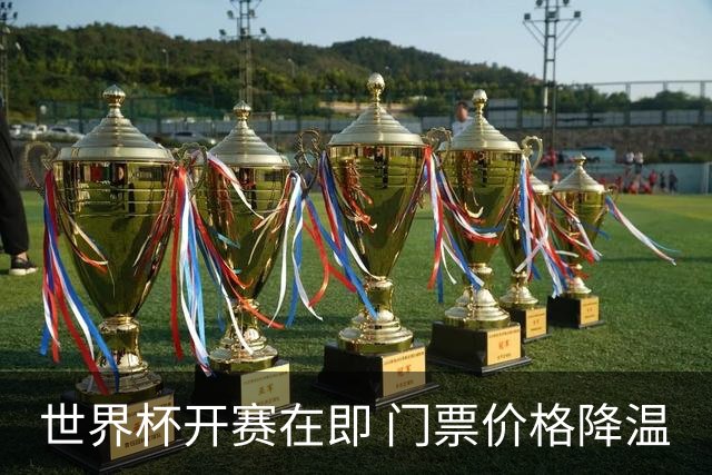 世界杯开赛在即 门票价格降温